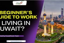a-beginner’s-guide-to-working-and-living-in-kuwait